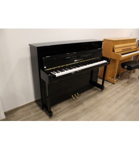 Photo Yamaha B2 Silent