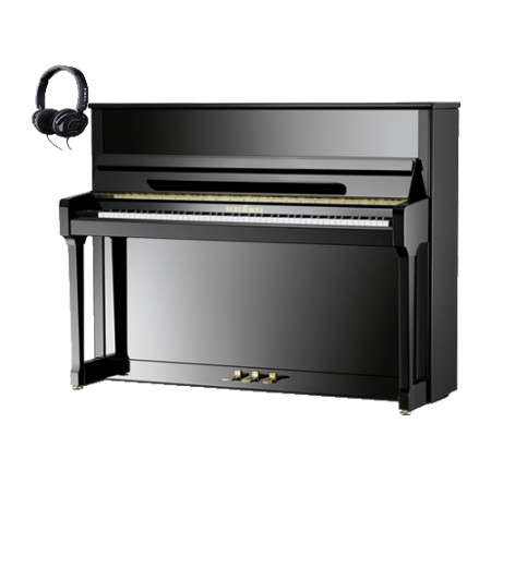 Schimmel C116 Tradition TwinTone