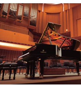 Photo Yamaha Premium CFx