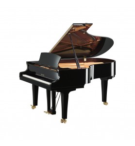 Photo Yamaha Premium S5x