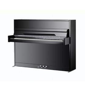 Photo Schimmel W114 Modern