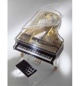 Photo Schimmel K213 Glas