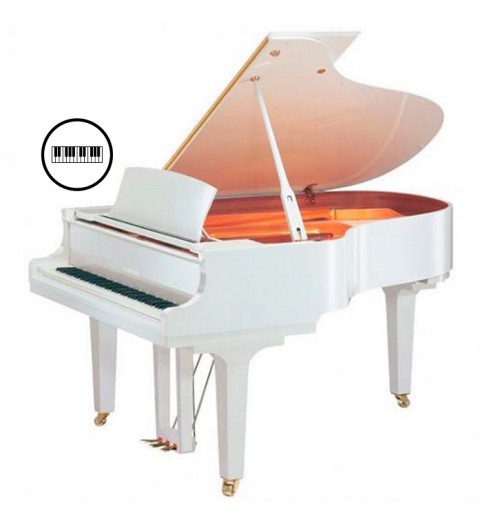 Yamaha C2x Dislavier Enspire Yamaha C2x Dislavier Enspire