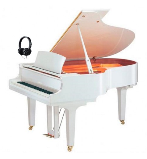 Yamaha C2x Silent Yamaha C2x Silent