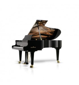 Photo Schimmel K219 Tradition