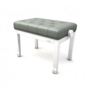 Photo BK9CS Schimmel Tradition I  capitonnée