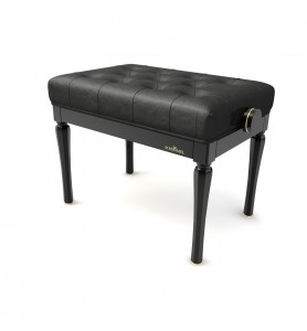 Photo Schimmel BK9AN Art Nouveau capitonnée