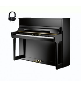 Photo Schimmel W114 Tradition TwinTone