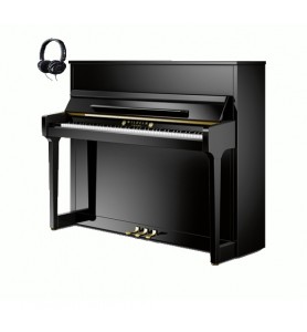 Photo Schimmel W118 Tradition TwinTone