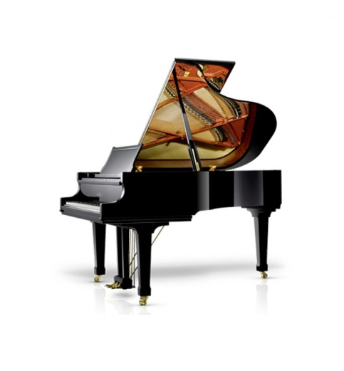 Schimmel C189 Tradition