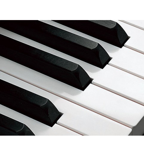 Yamaha YUS5 Yamaha YUS5