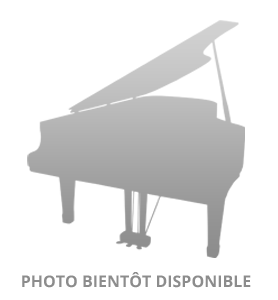 Photo Zimmermann 105V 261536